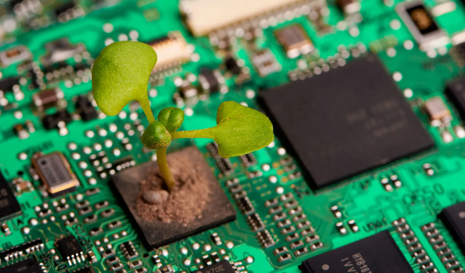 MR Global Solutions Hero Image